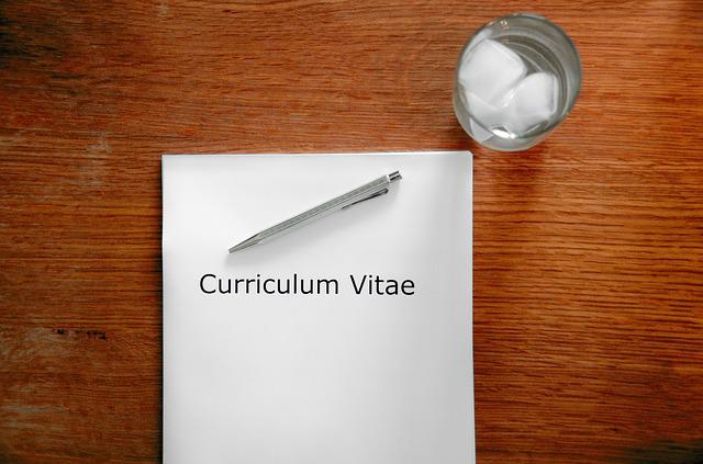 Why Should You Use A Professional CV Writing Service?